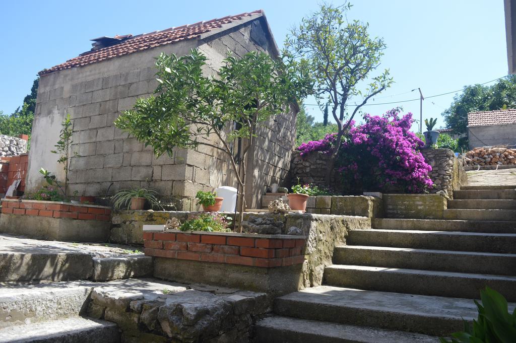 Guesthouse Cipre Lumbarda Exterior foto